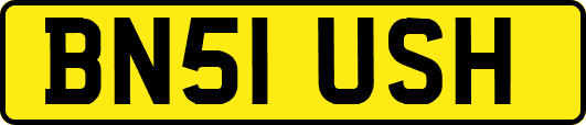 BN51USH