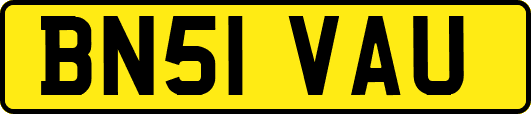 BN51VAU