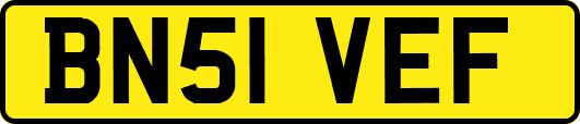 BN51VEF