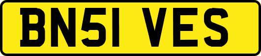 BN51VES