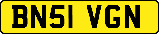 BN51VGN
