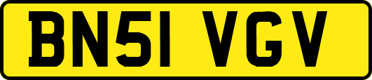 BN51VGV
