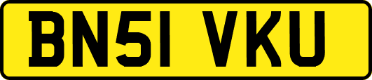 BN51VKU