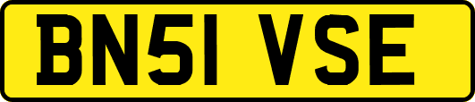 BN51VSE