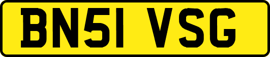BN51VSG