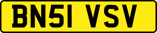 BN51VSV