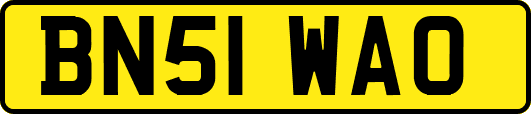 BN51WAO