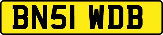 BN51WDB