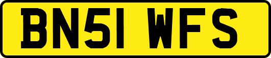 BN51WFS