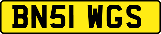 BN51WGS
