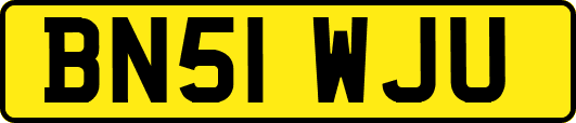 BN51WJU