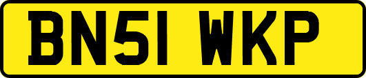 BN51WKP