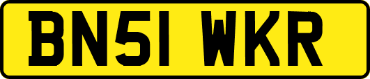 BN51WKR