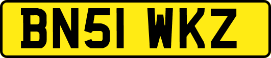 BN51WKZ