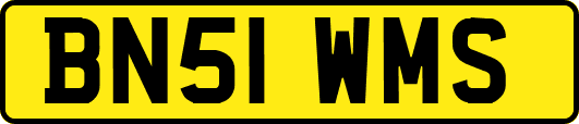 BN51WMS