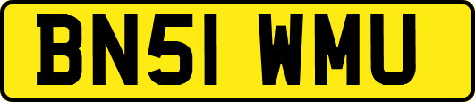 BN51WMU