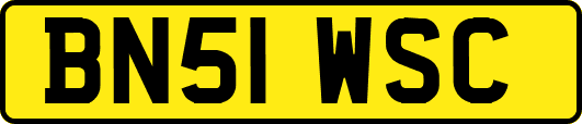 BN51WSC