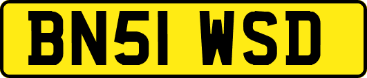 BN51WSD