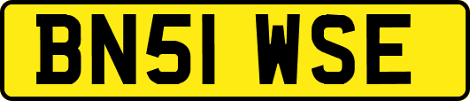 BN51WSE