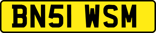 BN51WSM