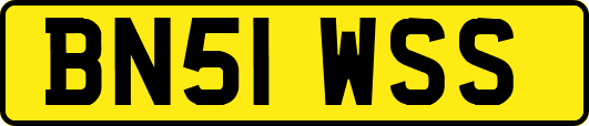 BN51WSS