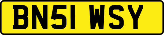 BN51WSY