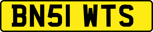 BN51WTS