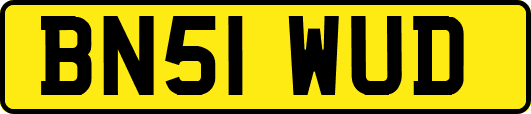BN51WUD
