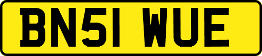 BN51WUE
