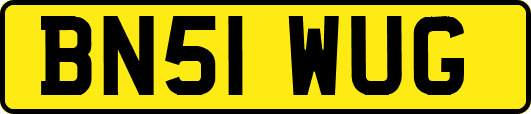 BN51WUG