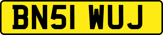 BN51WUJ