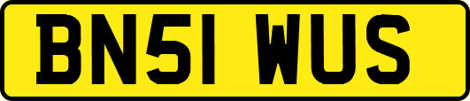 BN51WUS