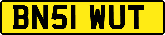 BN51WUT