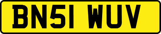 BN51WUV