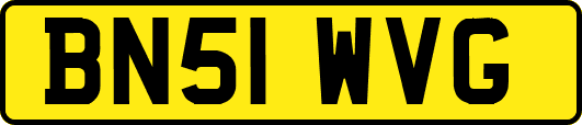 BN51WVG