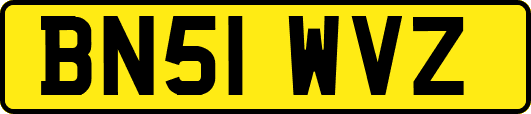 BN51WVZ
