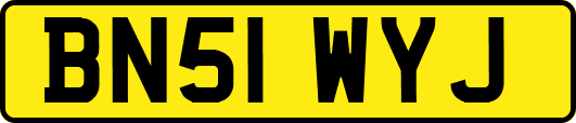 BN51WYJ
