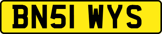 BN51WYS