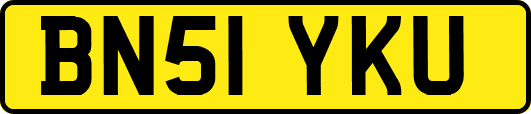 BN51YKU