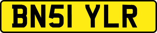 BN51YLR