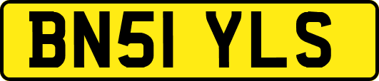 BN51YLS