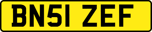 BN51ZEF