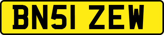 BN51ZEW