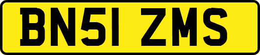 BN51ZMS
