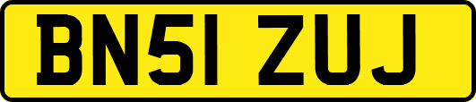 BN51ZUJ