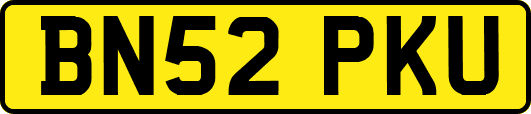 BN52PKU