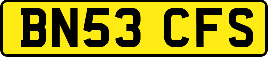 BN53CFS