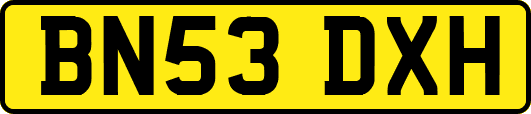 BN53DXH