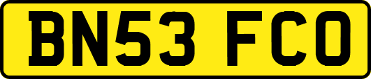 BN53FCO