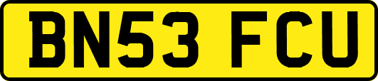 BN53FCU